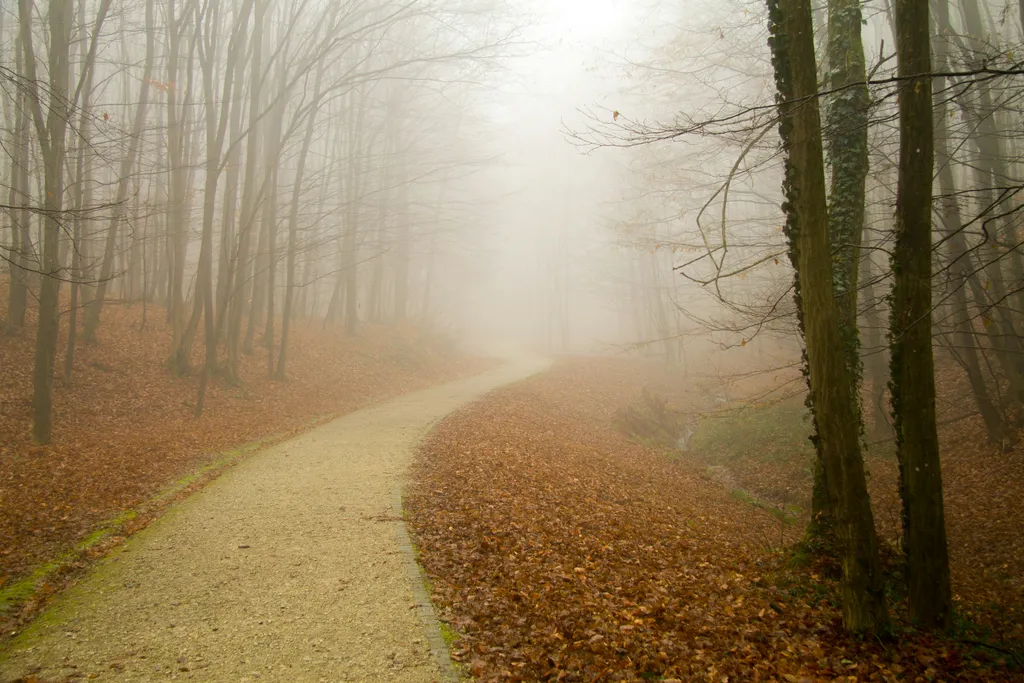 Exploring Consciousness Without Superstition or Dismissal