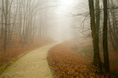 Exploring Consciousness Without Superstition or Dismissal